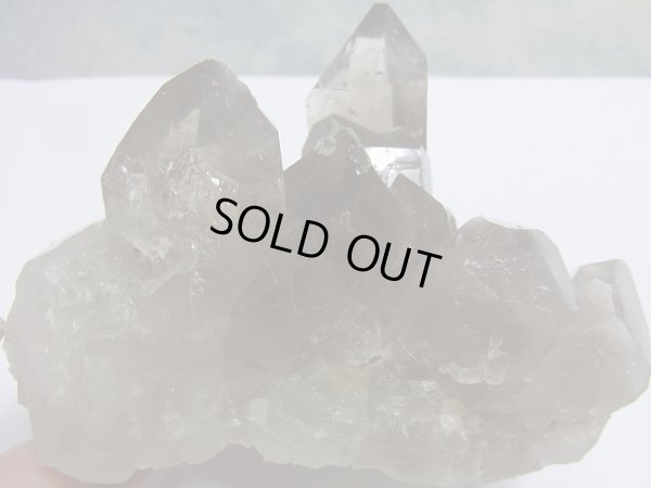 画像12: 超レア Premium　天然スモーキールチル　クラスター　特価