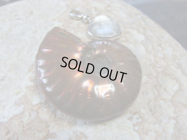 画像4: 特選　アンモライト　