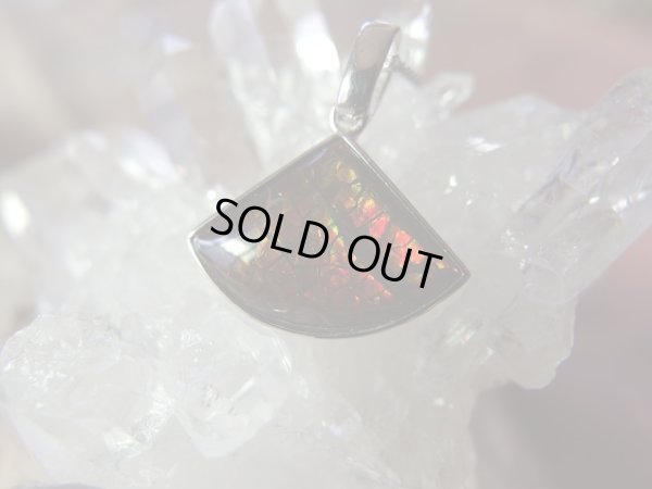 画像4: Premiumアンモライト　ペンダントトップ　　