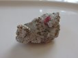 画像16: レア原石　　ロードクロサイトとパイライト共生型の原石　　ｂｅｓｔselection