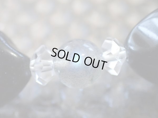 画像13: Blue Butterfly 