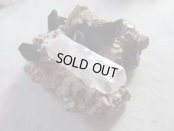 画像8: Premium　ダンビュライト結晶原石　ツイン　レインボー型