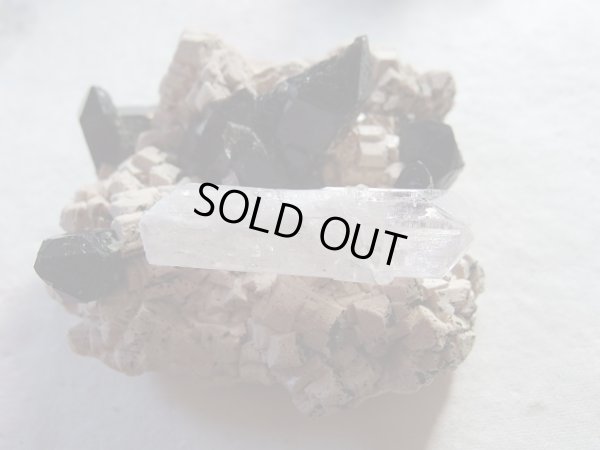 画像4: Premium　ダンビュライト結晶原石　ツイン　レインボー型