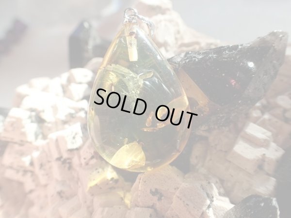 画像15: 「天然」Premium 虫入り　アンバー　アジャスター付きSVチェーン付き