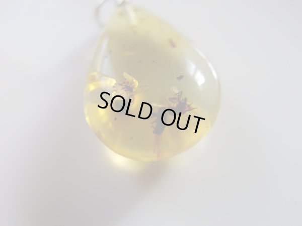 画像10: 「天然」Premium 虫入り　アンバー　アジャスター付きSVチェーン付き