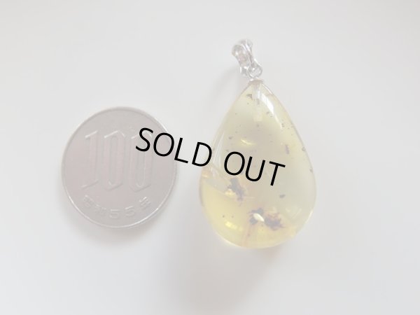 画像7: 「天然」Premium 虫入り　アンバー　アジャスター付きSVチェーン付き