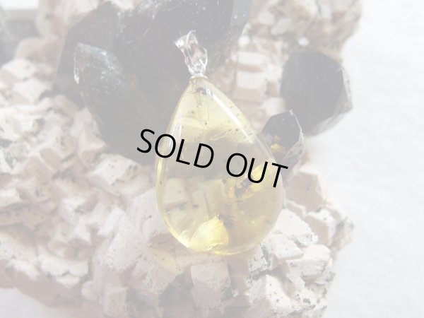 画像8: 「天然」Premium 虫入り　アンバー　アジャスター付きSVチェーン付き