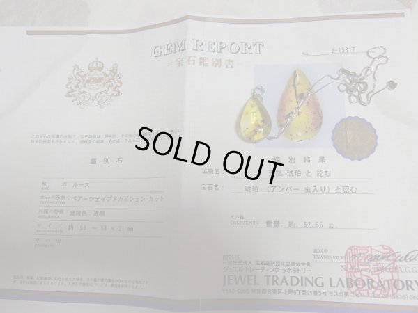 画像6: 「天然」Premium 虫入り　アンバー　アジャスター付きSVチェーン付き