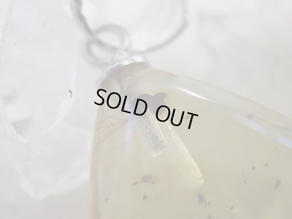 画像20: 「天然」Premium 虫入り　アンバー　アジャスター付きSVチェーン付き