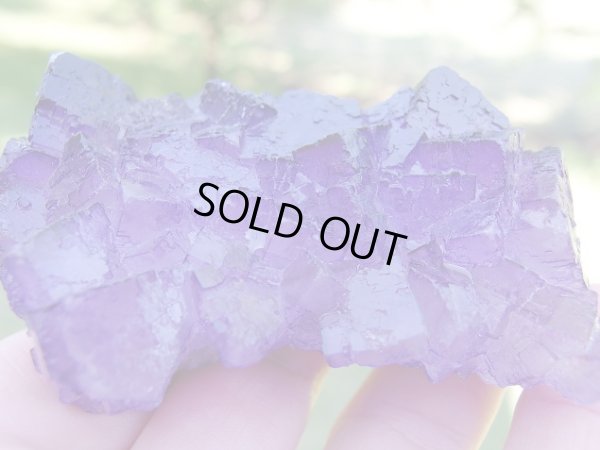 画像6: パープルフロライト　結晶原石　