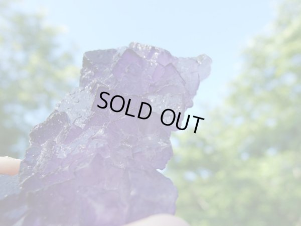 画像7: パープルフロライト　結晶原石　