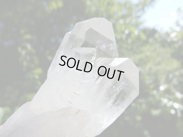 画像5: レア　全面蝕像美　店長厳選　premiumクリスタル　トマスゴンサガ原産