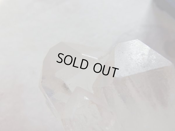 画像12: レア　全面蝕像美　店長厳選　premiumクリスタル　トマスゴンサガ原産