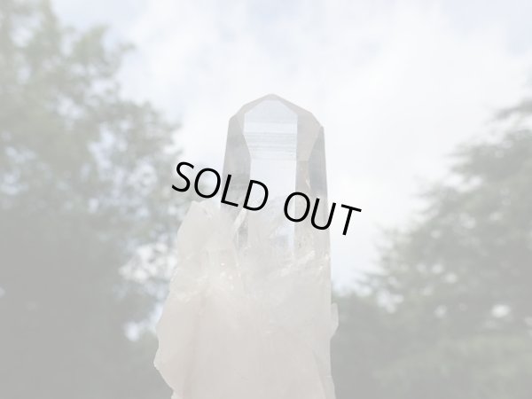 画像9: アーカンソー原産　クリスタル　