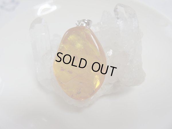 画像3: 天然虫入りアンバー　ペンダントトップ