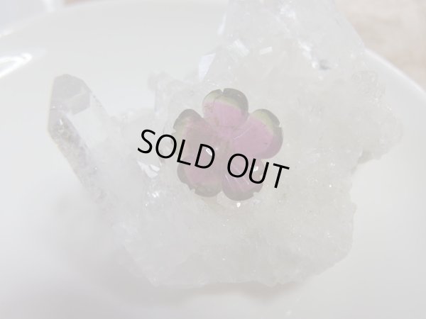 画像11: スイカ電気石　さくら　