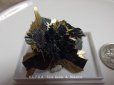 画像6: Premium　太陽タイチンルチル結晶原石　「黄金の黒薔薇」