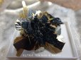 画像1: Premium　太陽タイチンルチル結晶原石　「黄金の黒薔薇」 (1)