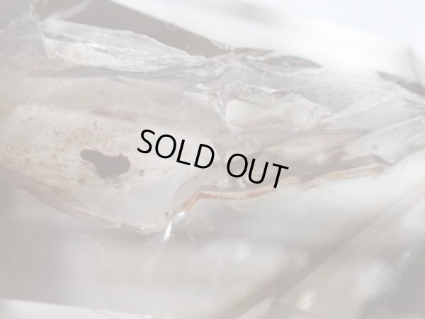 画像20: Ｐｒｅｍｉｕｍ　スモーキークォーツ　エレスチャル　遊色入り　層模様入り