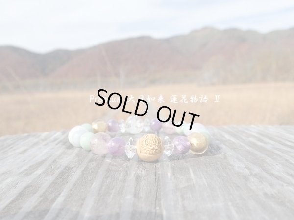 画像6: Premium 大日如来　蓮花物語　II