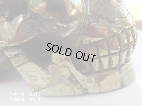 画像19: パイライト　スカル　　（髑髏 ）   permineter 5 または偽黄金バット