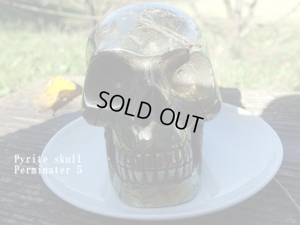 画像2: パイライト　スカル　　（髑髏 ）   permineter 5 または偽黄金バット
