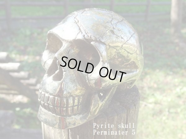 画像5: パイライト　スカル　　（髑髏 ）   permineter 5 または偽黄金バット