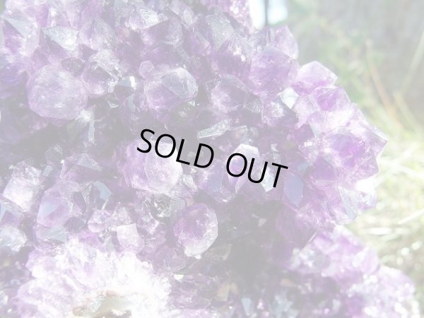 画像9: 高品質ウルグアイ産アメジストクラスター