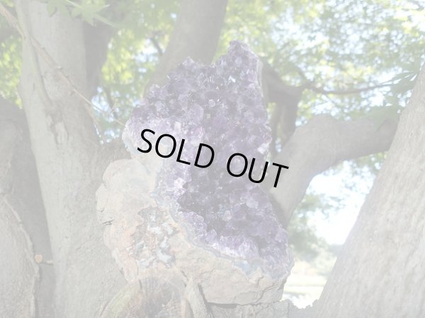 画像12: 高品質ウルグアイ産アメジストクラスター