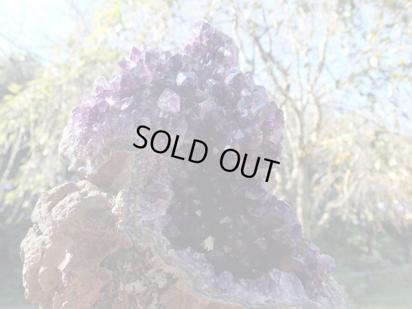 画像10: 高品質ウルグアイ産アメジストクラスター