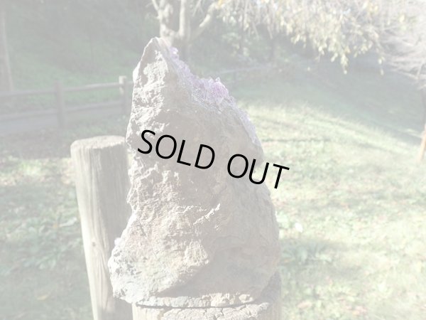 画像15: 高品質ウルグアイ産アメジストクラスター