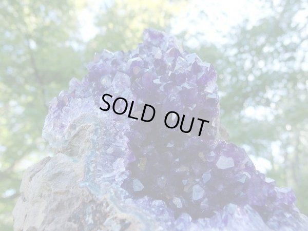 画像7: 高品質ウルグアイ産アメジストクラスター