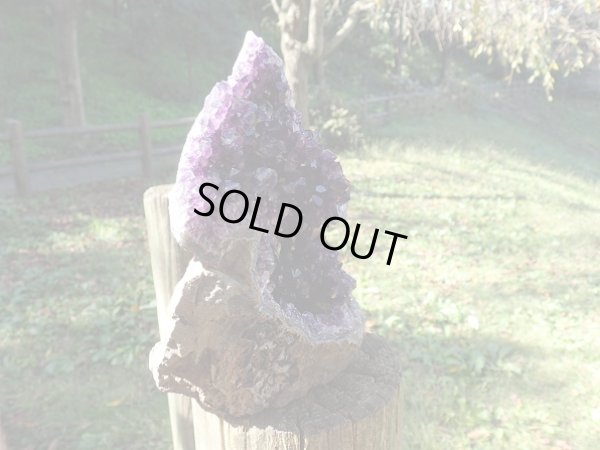 画像11: 高品質ウルグアイ産アメジストクラスター