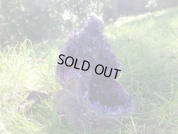 画像8: 高品質ウルグアイ産アメジストクラスター