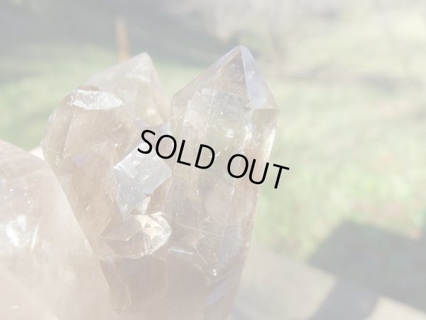 画像7: 超レア Premium　天然スモーキールチル　クラスター　特価