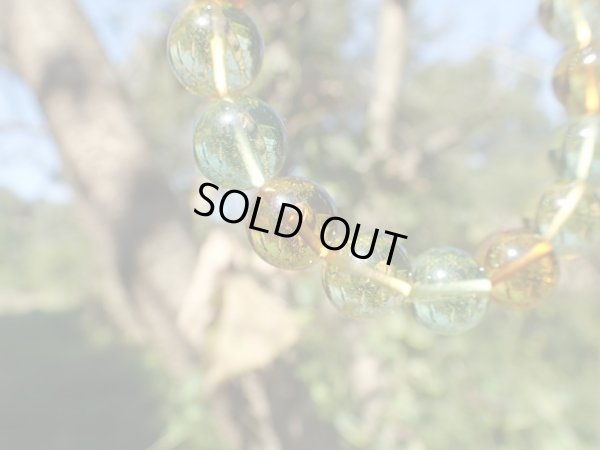 画像18: Premium 3カラー　アンバー　珠玉の１２ミリ美玉たち　