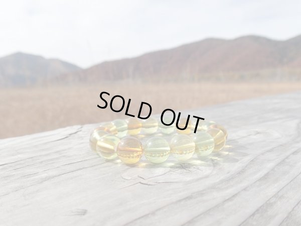 画像6: Premium 3カラー　アンバー　珠玉の１２ミリ美玉たち　