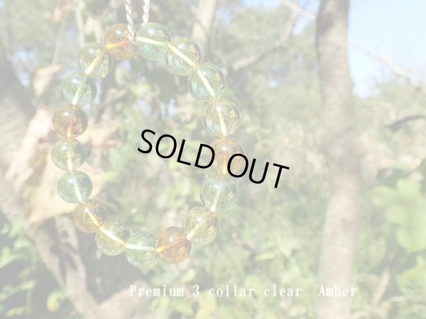 画像19: Premium 3カラー　アンバー　珠玉の１２ミリ美玉たち　