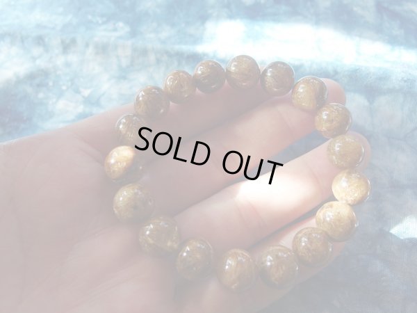 画像9: ギンギラギンに全くさりげなくない　凝縮コッパールチル　１１ミリ強 　特価