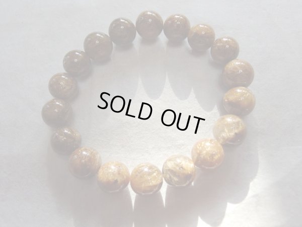 画像7: ギンギラギンに全くさりげなくない　凝縮コッパールチル　１１ミリ強 　特価