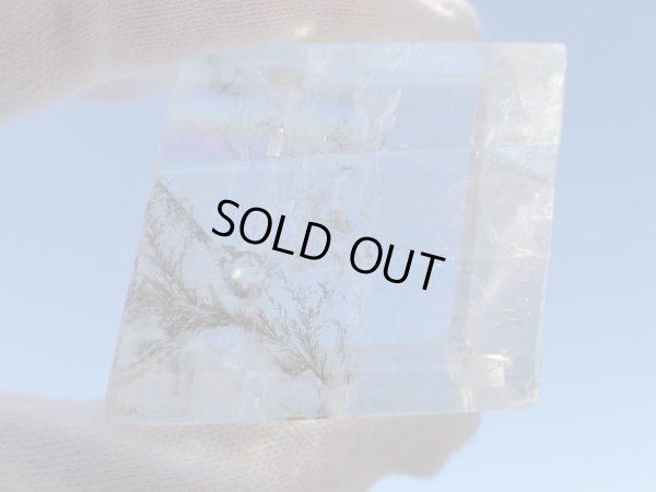 画像16: Premiun　デンドライト　イン　オプティカルカルサイト　バリバリ遊色入り　