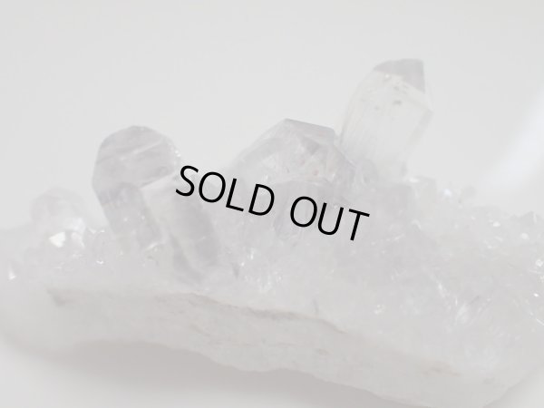 画像12: Premium   ＭＩＮＩＭＩＮＩ　プラチナルチルクラスター