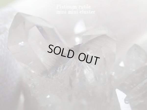 画像4: Premium   ＭＩＮＩＭＩＮＩ　プラチナルチルクラスター