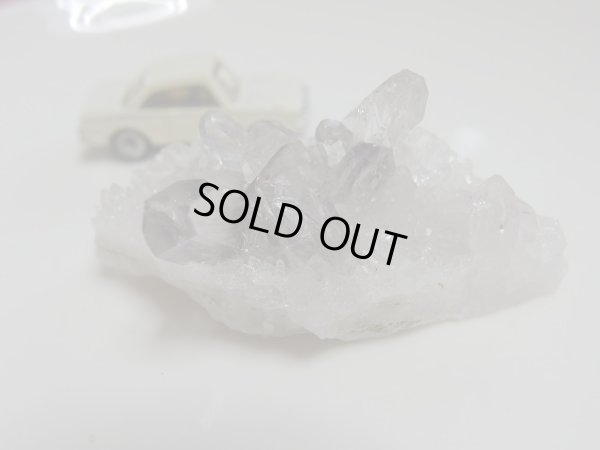 画像5: Premium   ＭＩＮＩＭＩＮＩ　プラチナルチルクラスター