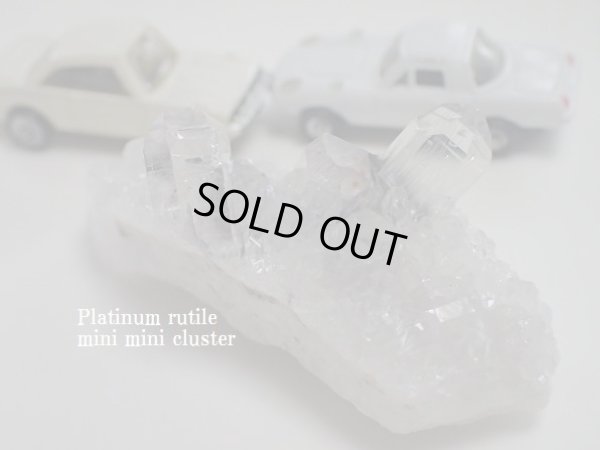 画像7: Premium   ＭＩＮＩＭＩＮＩ　プラチナルチルクラスター