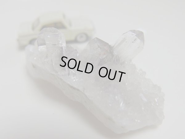 画像10: Premium   ＭＩＮＩＭＩＮＩ　プラチナルチルクラスター