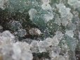 画像12: 希少　グリーンカルセドニー　粒状　葡萄状　美結晶原石　特価