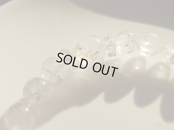 画像6: 赤乱舞　「burst」