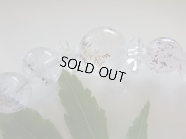 画像2: 赤乱舞　「burst」