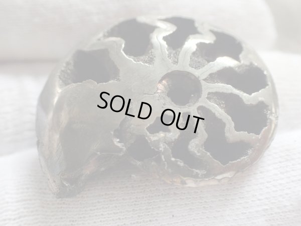 画像11: 金属系鉱物礼賛　黄鉄鉱祭　パイライト４変化　 特価